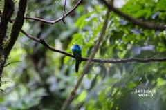 20230521140710_IMG_5638