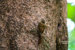 20230521142115_IMG_5649