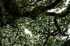 20230521142827_IMG_5652