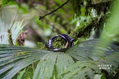 20230521152331_IMG_5739