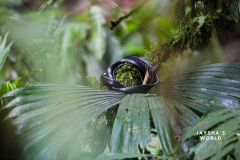 20230521152413_IMG_5741