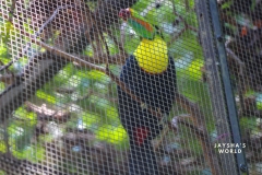 Costa-Rica-Zoo-San-Jose-079