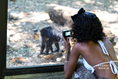 Costa-Rica-Zoo-San-Jose-121