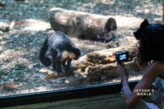 Costa-Rica-Zoo-San-Jose-124