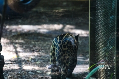Costa-Rica-Zoo-San-Jose-126