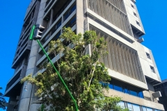 Revival-Week-Edited-557