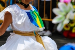 San-Jose-Band-Parade-113