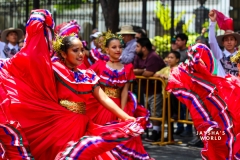 San-Jose-Band-Parade-206