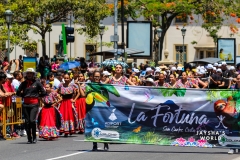 San-Jose-Band-Parade-486