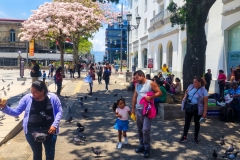 San-Jose-Costa-Rica-Jayshas-World-101