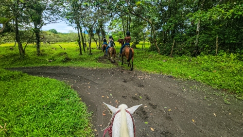 Horseback Riding Ranch-7
