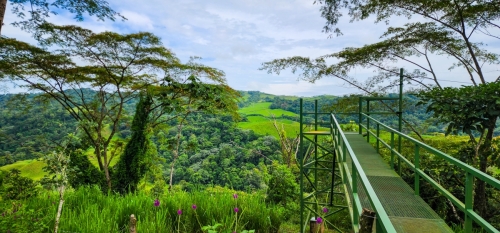 Zipline _ Tubing-1-4